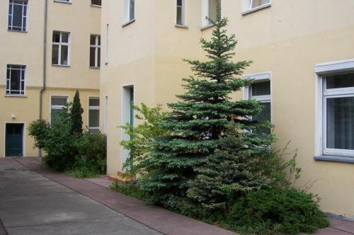 Hotel Pension Streuhof ברלין מראה חיצוני תמונה